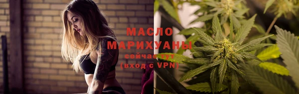сатива Новозыбков
