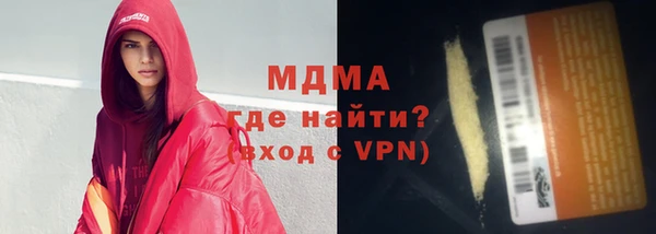 сатива Новозыбков