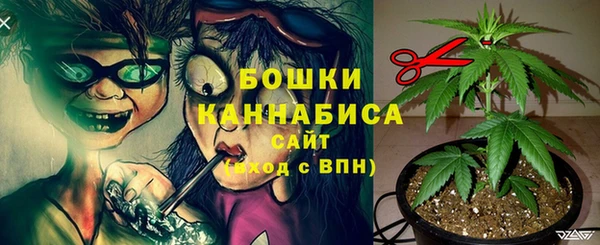 мет Новодвинск