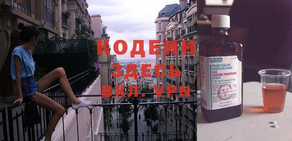 сатива Новозыбков
