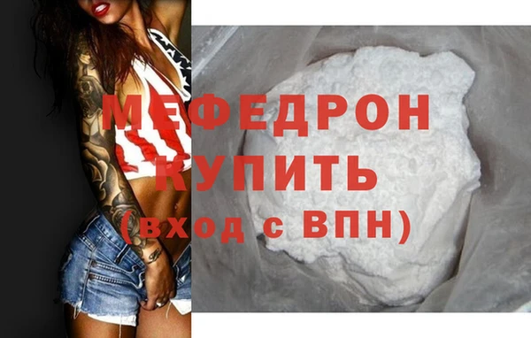 сатива Новозыбков