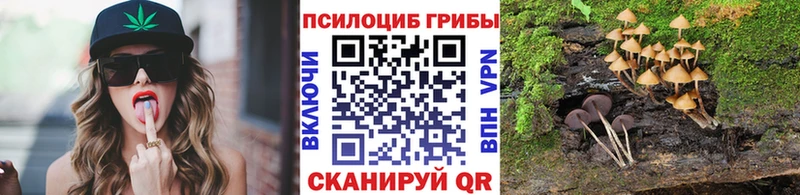 Галлюциногенные грибы ЛСД Магадан