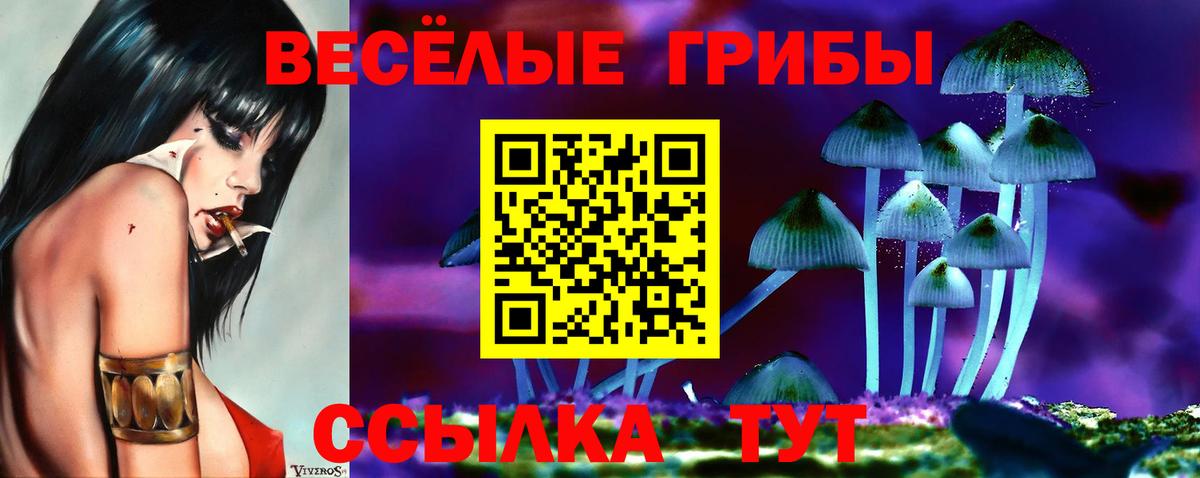 Псилоцибиновые грибы Psilocybe Магадан