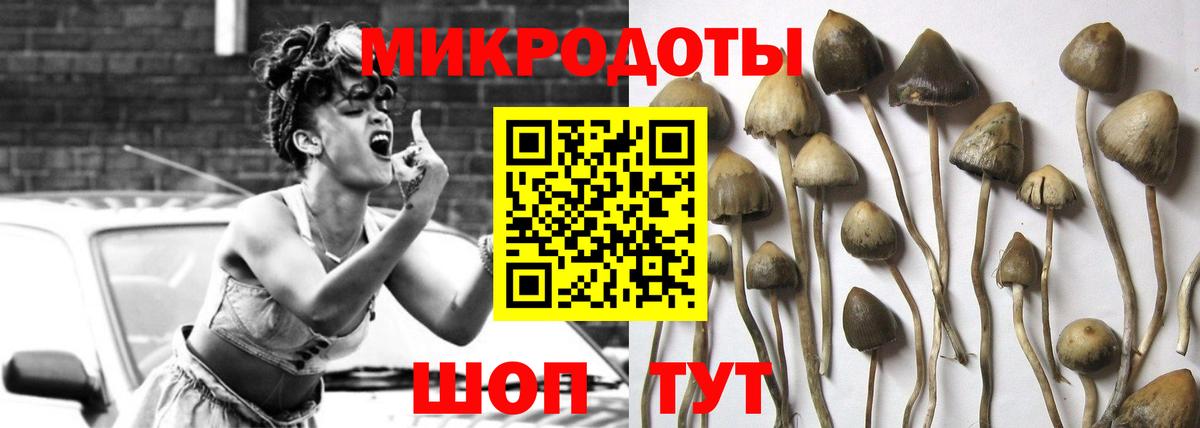 Псилоцибиновые грибы мицелий Магадан