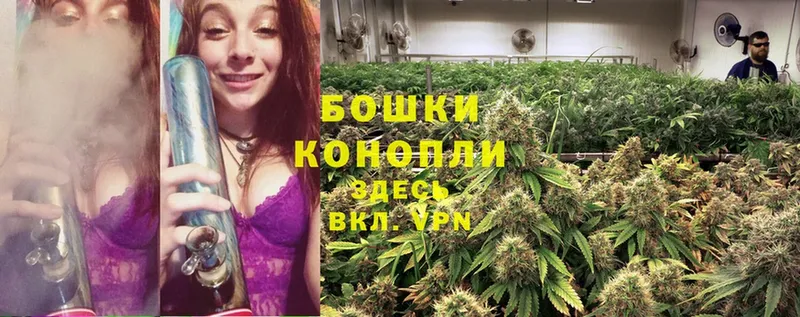 Бошки Шишки Ganja  где купить наркотик  Магадан 